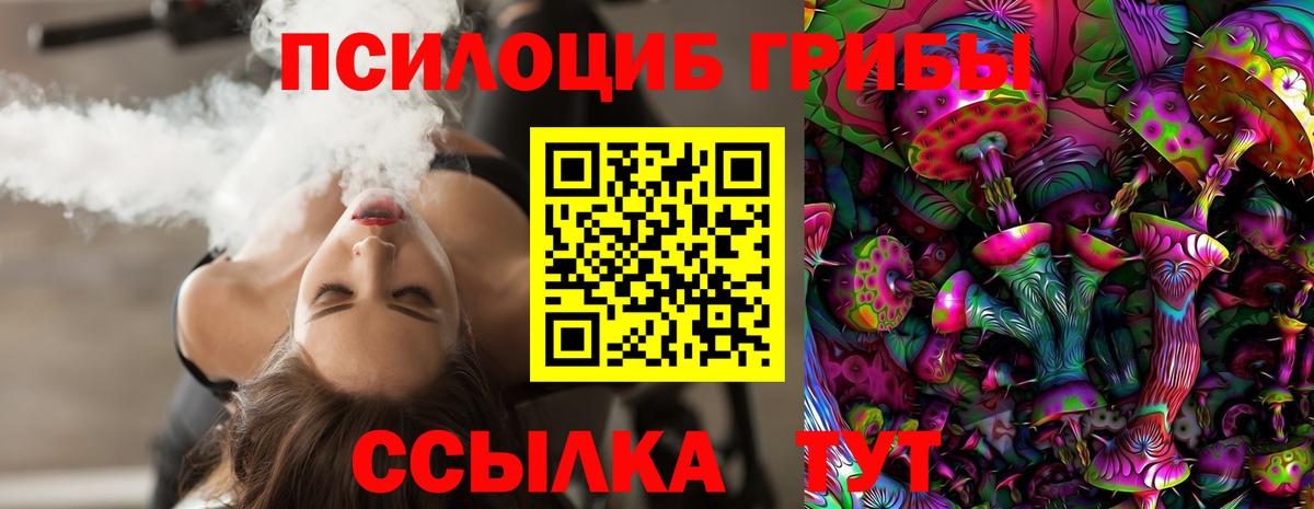 Прохладный  Псилоцибиновые грибы Psilocybine cubensis  Вход с VPN 