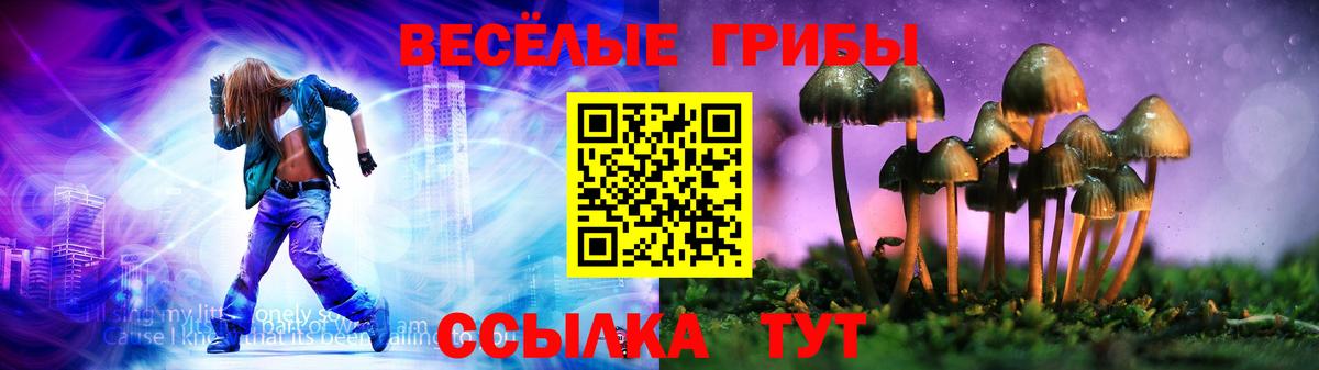 Псилоцибиновые грибы мицелий Прохладный